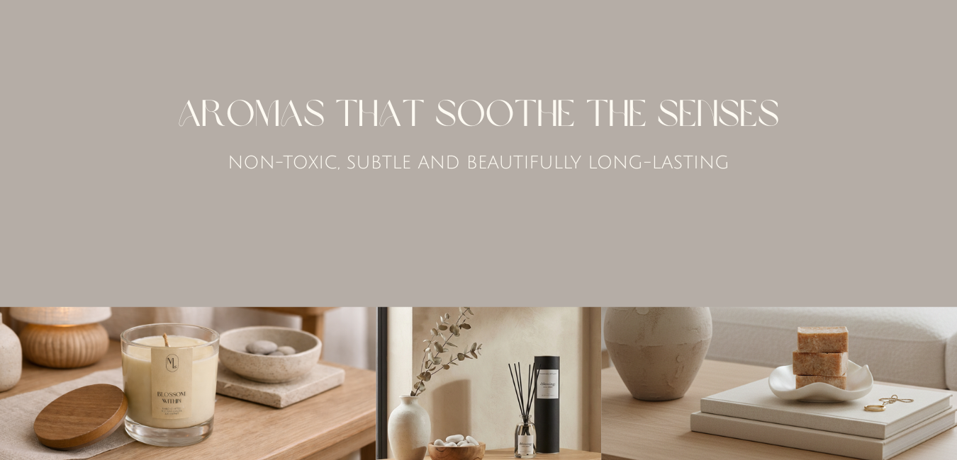 custom-slideshow-image-desktop-block_VV7cjt